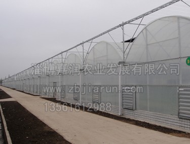 連棟溫室工程